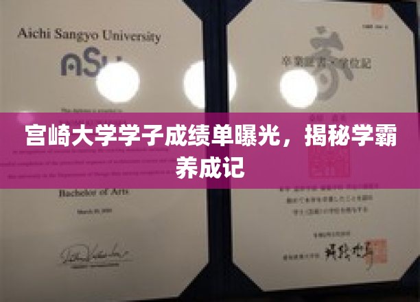 宫崎大学学霸养成之路，成绩单揭秘背后的努力与智慧
