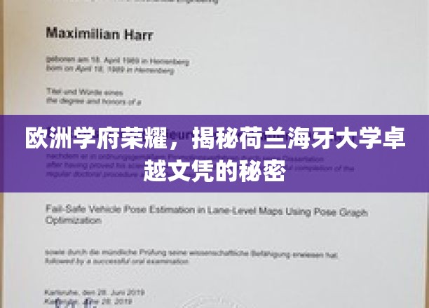 欧洲学府荣耀,揭秘荷兰海牙大学卓越文凭的秘密