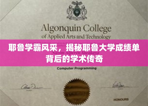 耶鲁精英风采，揭开学霸成绩单背后的学术奥秘
