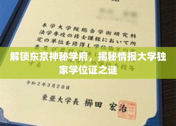 解锁东京神秘学府，揭秘情报大学独家学位证之谜