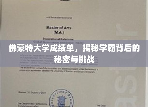 佛蒙特大学成绩单，揭秘学霸背后的秘密与挑战
