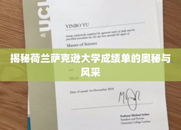 荷兰萨克逊大学成绩单，探秘学术殿堂的独特魅力