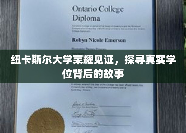 纽大荣耀解码，一探究竟的学位传奇