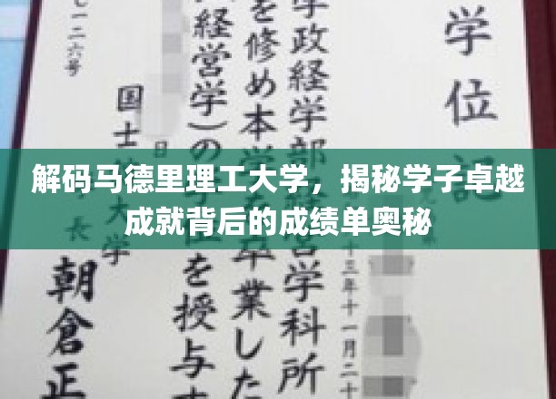 解码马德里理工大学，探秘学子卓越成就背后的成绩单奥秘