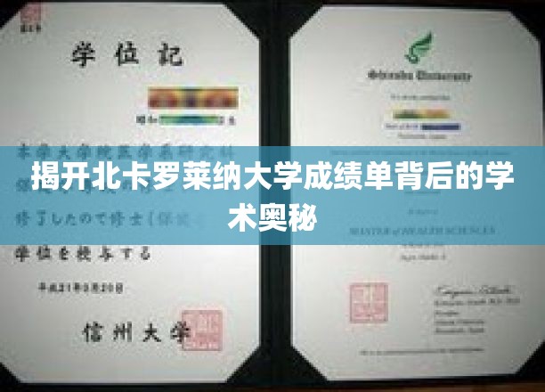探寻北卡罗莱纳大学成绩单的隐藏秘密，揭秘学术卓越之路
