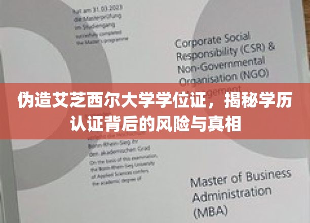 伪造名校学位证，学历认证暗藏的风险与惊人真相