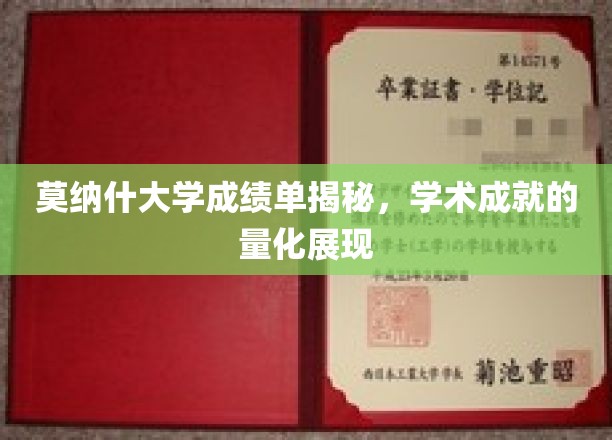 解码莫纳什，一窥学术卓越的成绩单背后故事