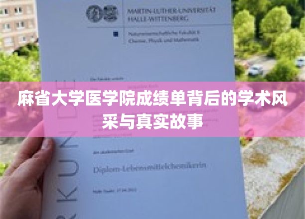 麻省医学院成绩单揭开，探寻卓越学术背后的精彩人生篇章