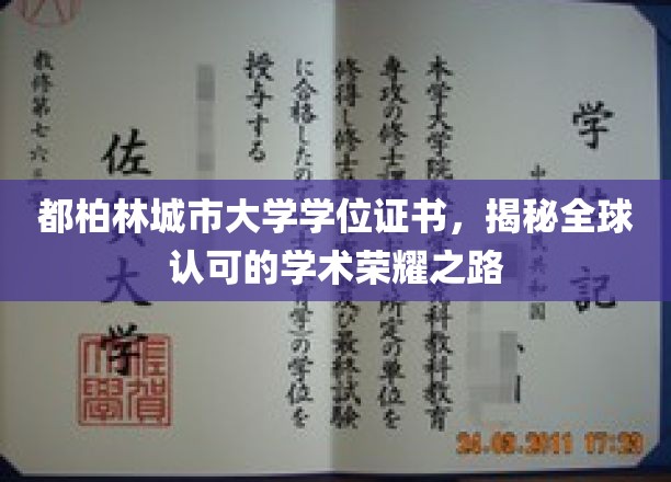 探索都柏林城市大学，全球认可的学位证书背后的荣耀之路