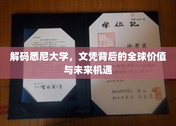 解锁悉尼大学，探索国际文凭的深远影响与无限可能