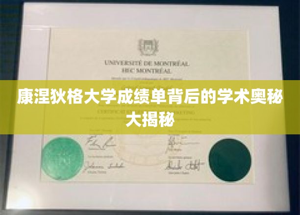 解码康涅狄格大学成绩单，揭开学术成就的秘密面纱