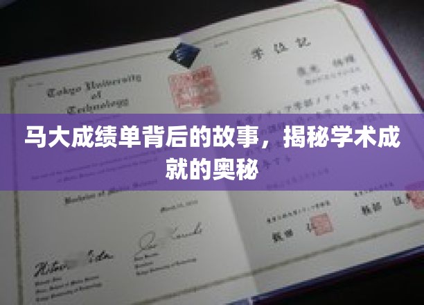 揭开马大卓越成绩单的神秘面纱，探寻学术辉煌的幕后秘籍