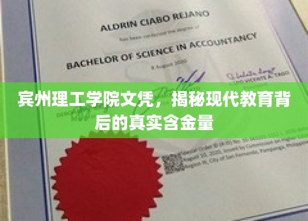 宾州理工学院文凭解析，解码现代教育证书的真正价值