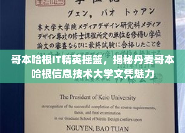 哥本哈根IT精英摇篮，揭秘丹麦哥本哈根信息技术大学文凭魅力