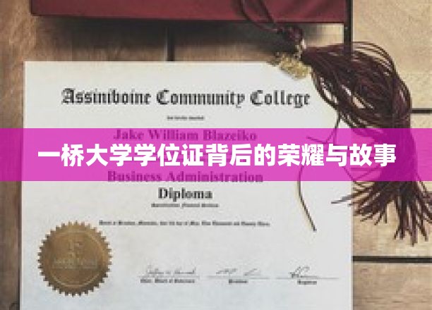 一桥大学学位证的传奇历程，荣耀与背后的感人故事
