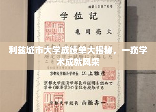 解码利兹城市大学，揭秘学术精英的卓越成就