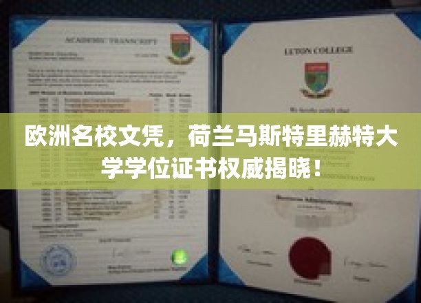荷兰马斯特里赫特大学学位证书，欧洲顶级学府的权威认证大揭秘！