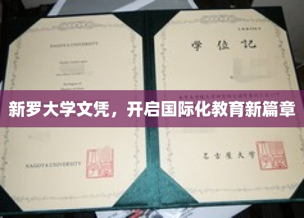 新罗大学文凭引领教育革新，国际化大门敞开