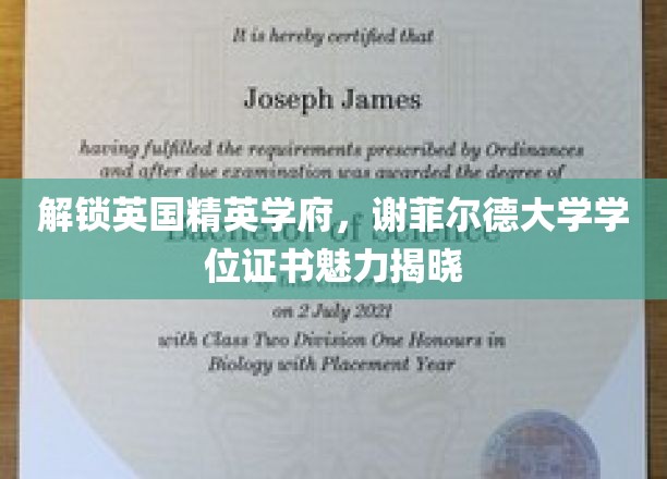 探寻谢菲尔德大学荣耀，学位证书背后的精英魅力大揭秘