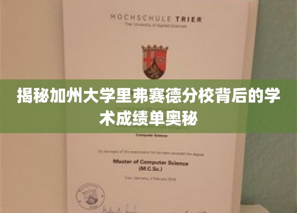 揭秘加州大学里弗赛德分校背后的学术成绩单奥秘