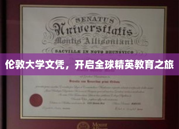 跨越国界，伦敦大学文凭引领精英教育新篇章