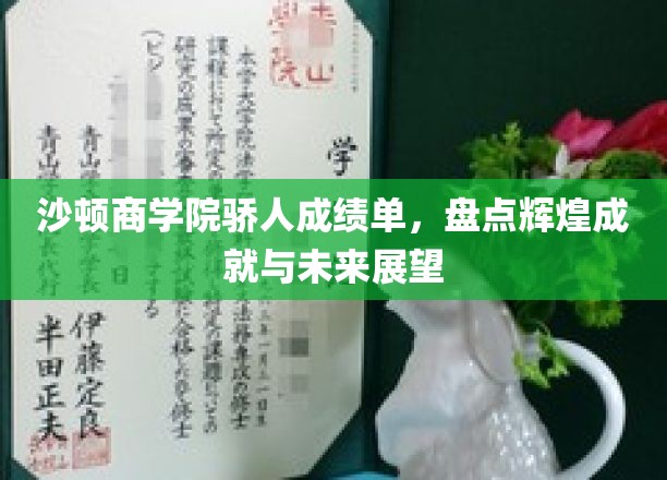 沙顿商学院骄人成绩单，盘点辉煌成就与未来展望
