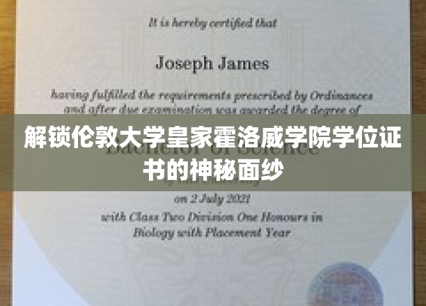 揭秘伦敦大学皇家霍洛威学院学位证书背后的非凡之旅