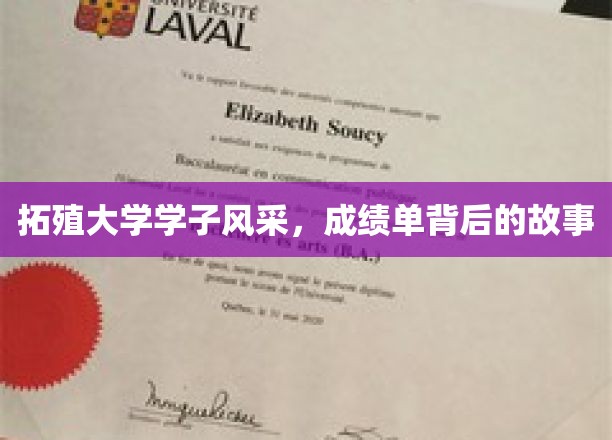 拓殖大学学子风采，成绩单背后的故事