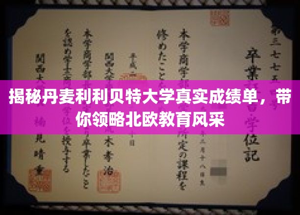 揭秘丹麦利利贝特大学真实成绩单，感受北欧教育风采