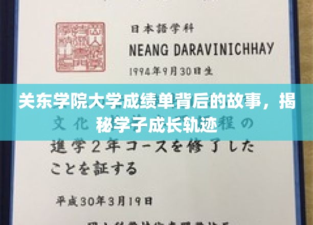 解码关东学院，一纸成绩单，映照学子非凡成长路
