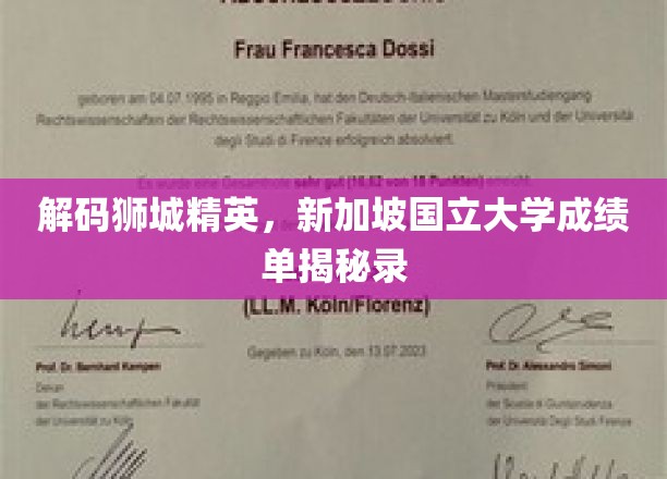 解码狮城精英，新加坡国立大学成绩单揭秘录