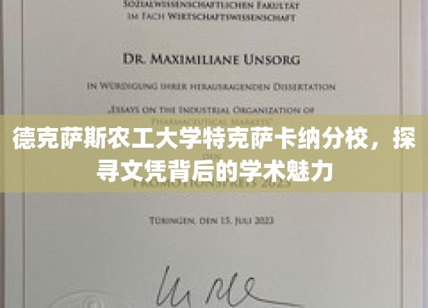 解码德克萨斯农工大学特克萨卡纳分校，文凭背后的学术风采之旅