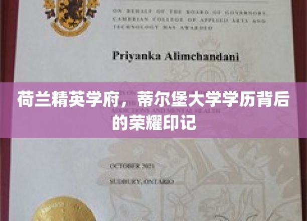 荷兰精英学府，蒂尔堡大学学历背后的荣耀印记