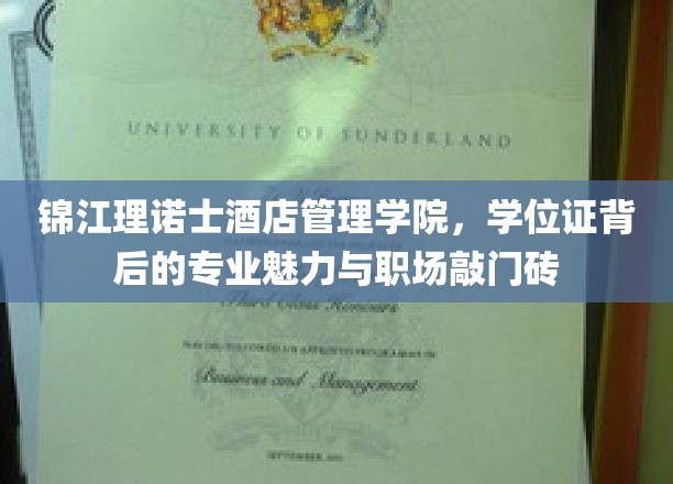 锦江理诺士酒店管理学院，学位证背后的专业魅力与职场敲门砖