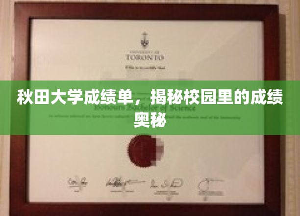 秋田大学成绩秘籍，一探校园学术成就之谜