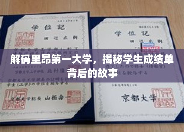 探寻里昂第一大学成绩单背后的学术秘境