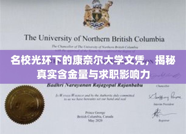 名校光环下的康奈尔大学文凭，揭秘真实含金量与求职影响力