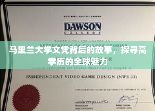 马里兰大学文凭背后的故事，探寻高学历的全球魅力