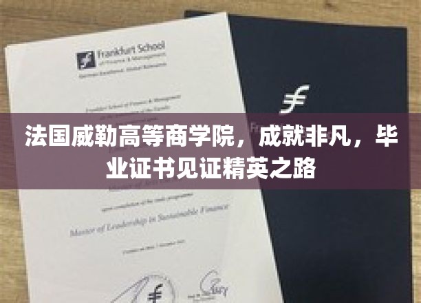 法国威勒高等商学院，成就非凡，毕业证书见证精英之路