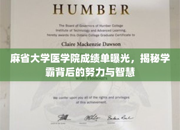 麻省学霸之路，成绩单背后，努力与智慧的完美融合