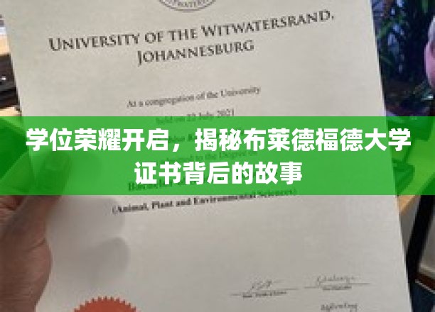 学位光环背后，布莱德福德大学证书的非凡旅程