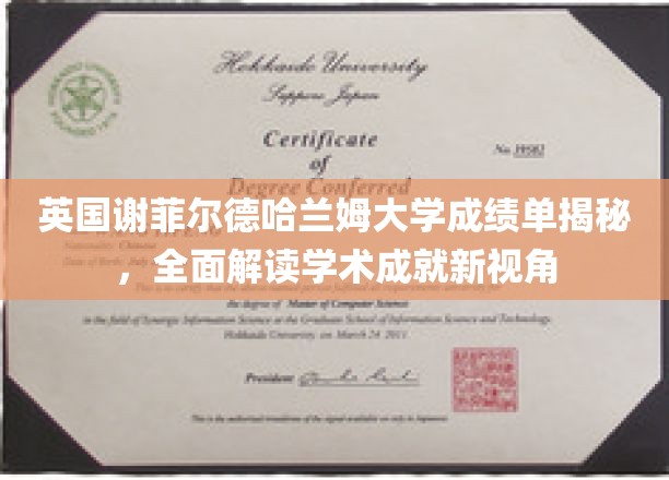 解码谢菲尔德哈兰姆大学成绩单，探寻学术成就的深度解读