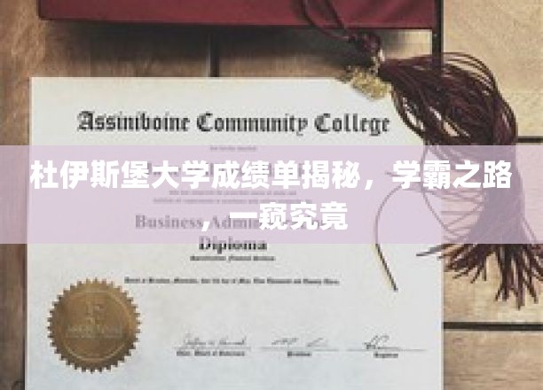 杜伊斯堡学霸档案，揭秘学霸成长轨迹，深度解析高分秘诀
