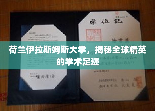 解码全球精英，荷兰伊拉斯姆斯大学探索学术传奇之旅