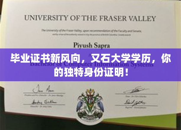 毕业新纪元，又石大学学历，解锁你的专属身份认证之旅