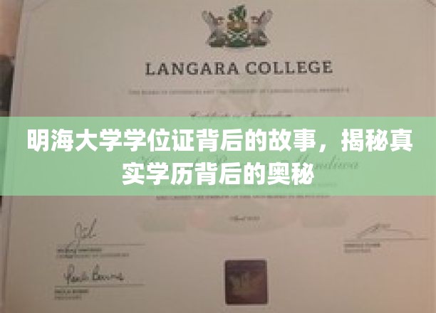 明海大学学位证之谜，揭开学历认证的深层面纱