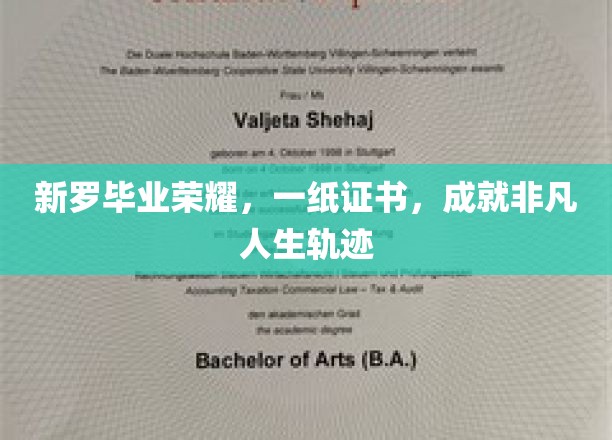 新罗毕业荣耀，一纸证书，成就非凡人生轨迹