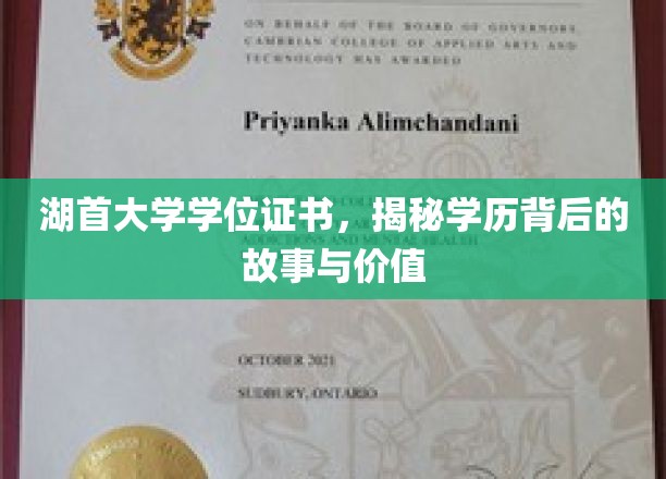 湖首大学学位证书，揭开学历背后的故事与价值