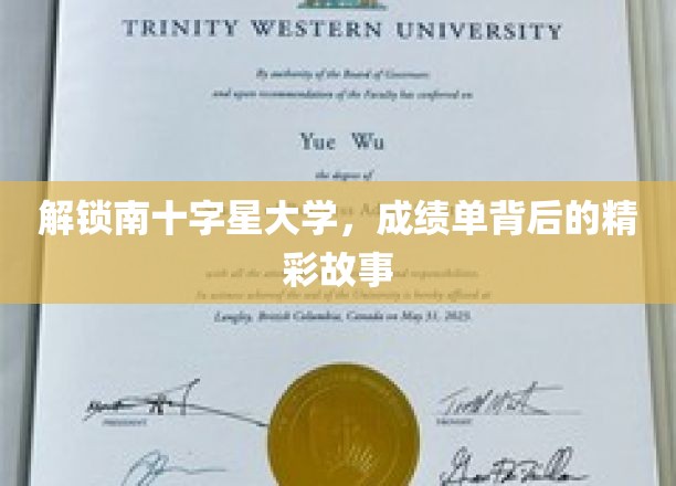 揭开南十字星大学学子卓越背后的神秘面纱