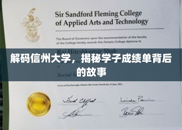 解码信州大学，揭秘学子成绩单背后的故事